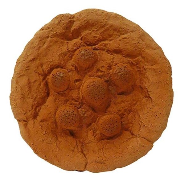 Fancy Feline Premium Stuffed Latex Totally Soft Cookie Toys; 7 in. FA510982